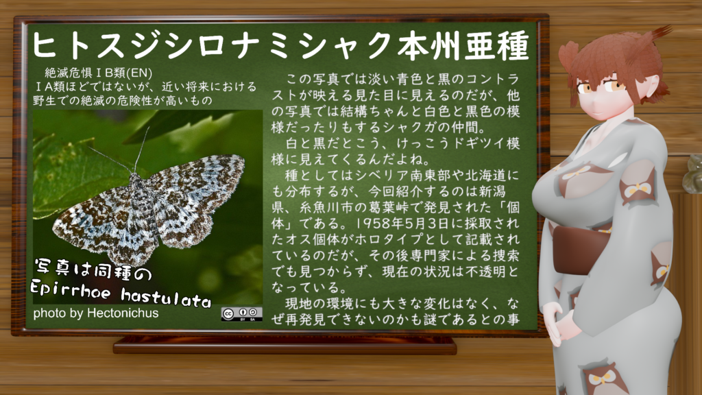 コタン・コロ@絶滅危惧種系VTuber